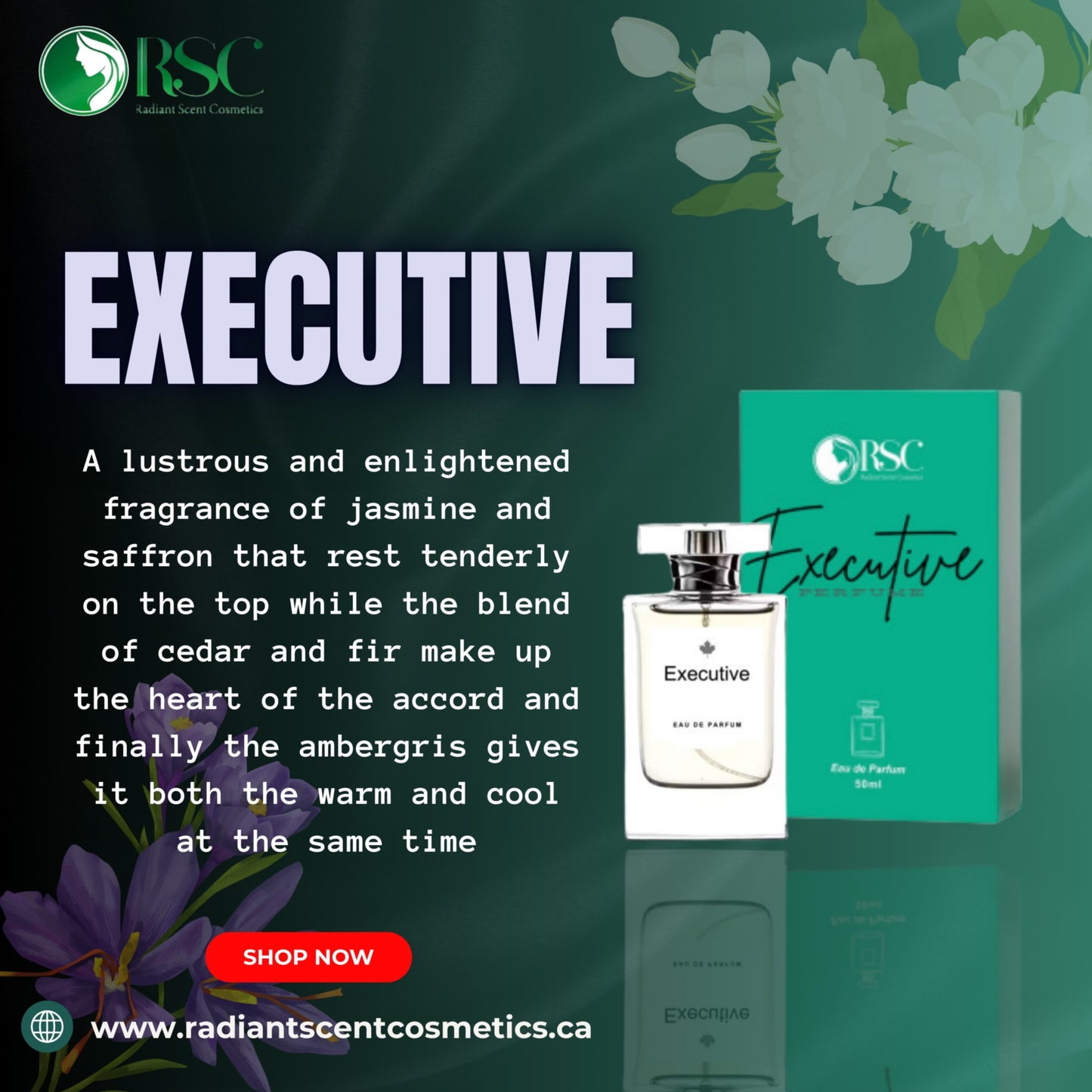 EXECUTIVE